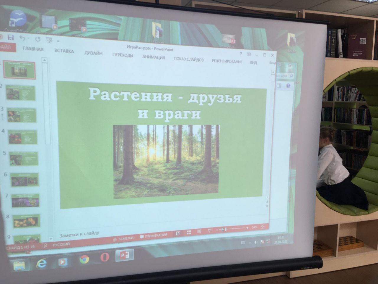Игра Растения-друзья и враги.