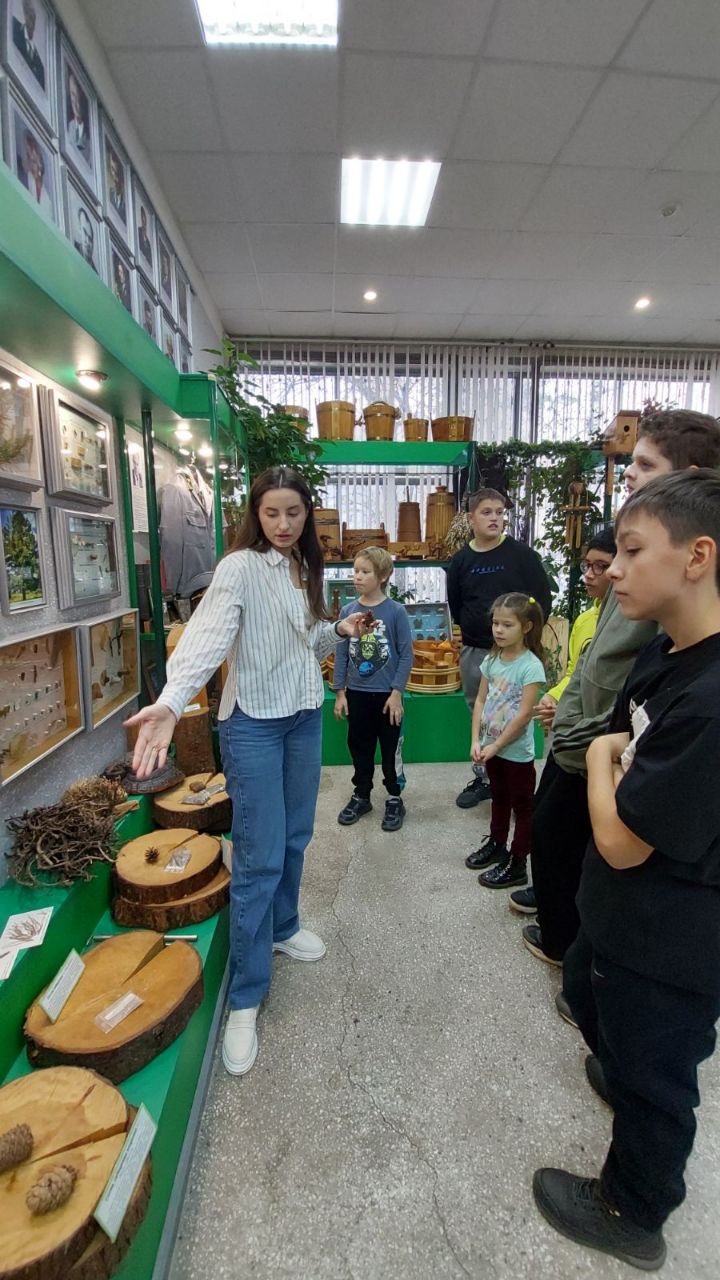 Экскурсия в Музей леса ( 7Г класс ).